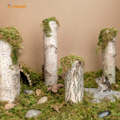 Niteangel mousse naturelle créant un habitat naturel pour petits animaux.