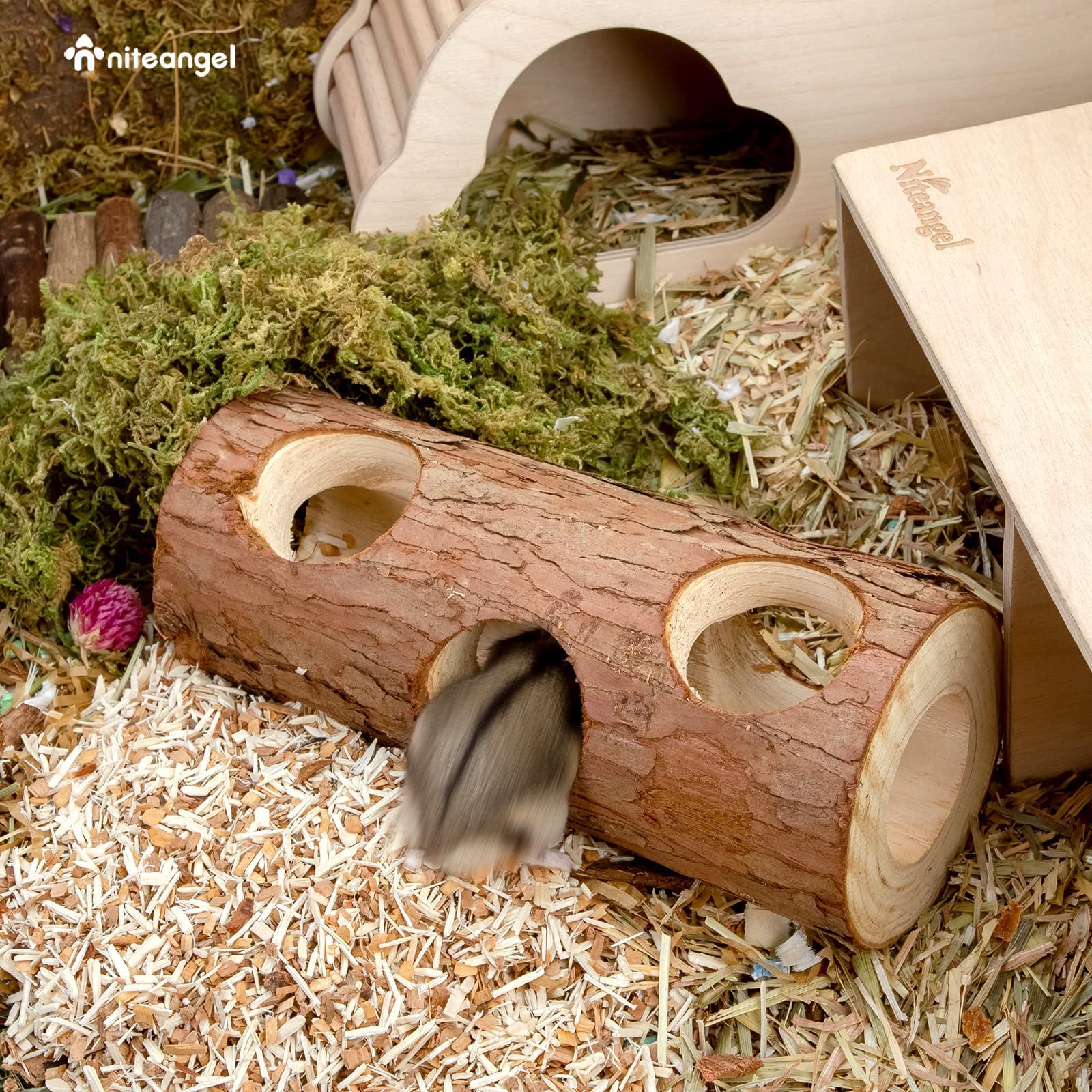 Niteangel nid bois naturel – refuge calme pour rongeurs
