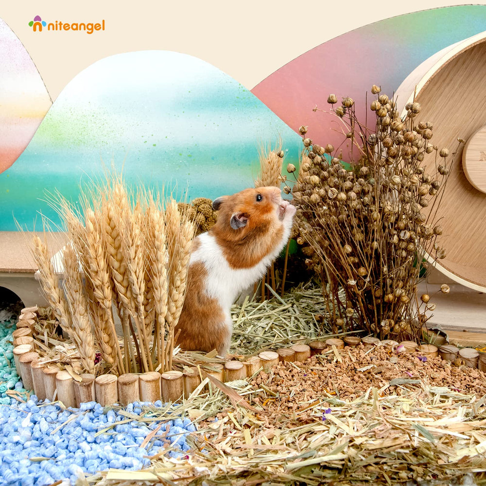 Niteangel odeur naturelle habitat hamster, ambiance fraîche et agréable.