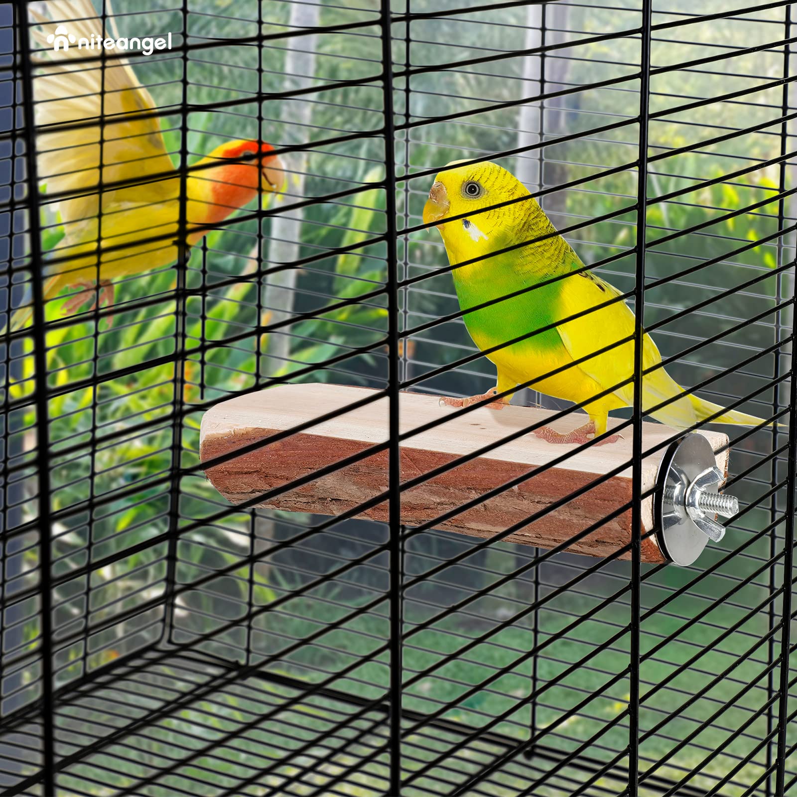 Niteangel perchoir en bois pour perroquet, installation rapide.