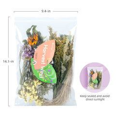 Niteangel pétales-naturels-seches, fleurs colorées pour variété de textures.