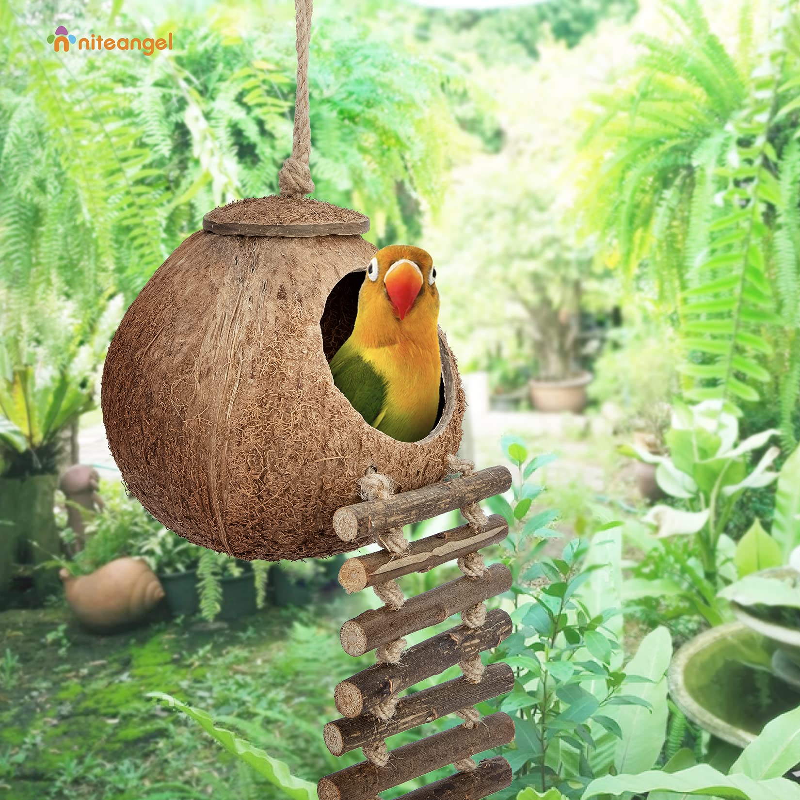 Niteangel conçu pour petits oiseaux et petits animaux, polyvalence utile.