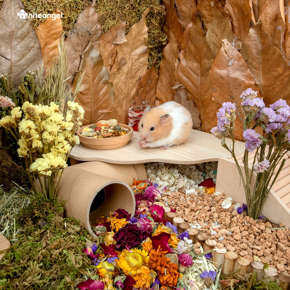 Niteangel plateforme hamster bois triangle, accessoires nourriture et eau compatibles.