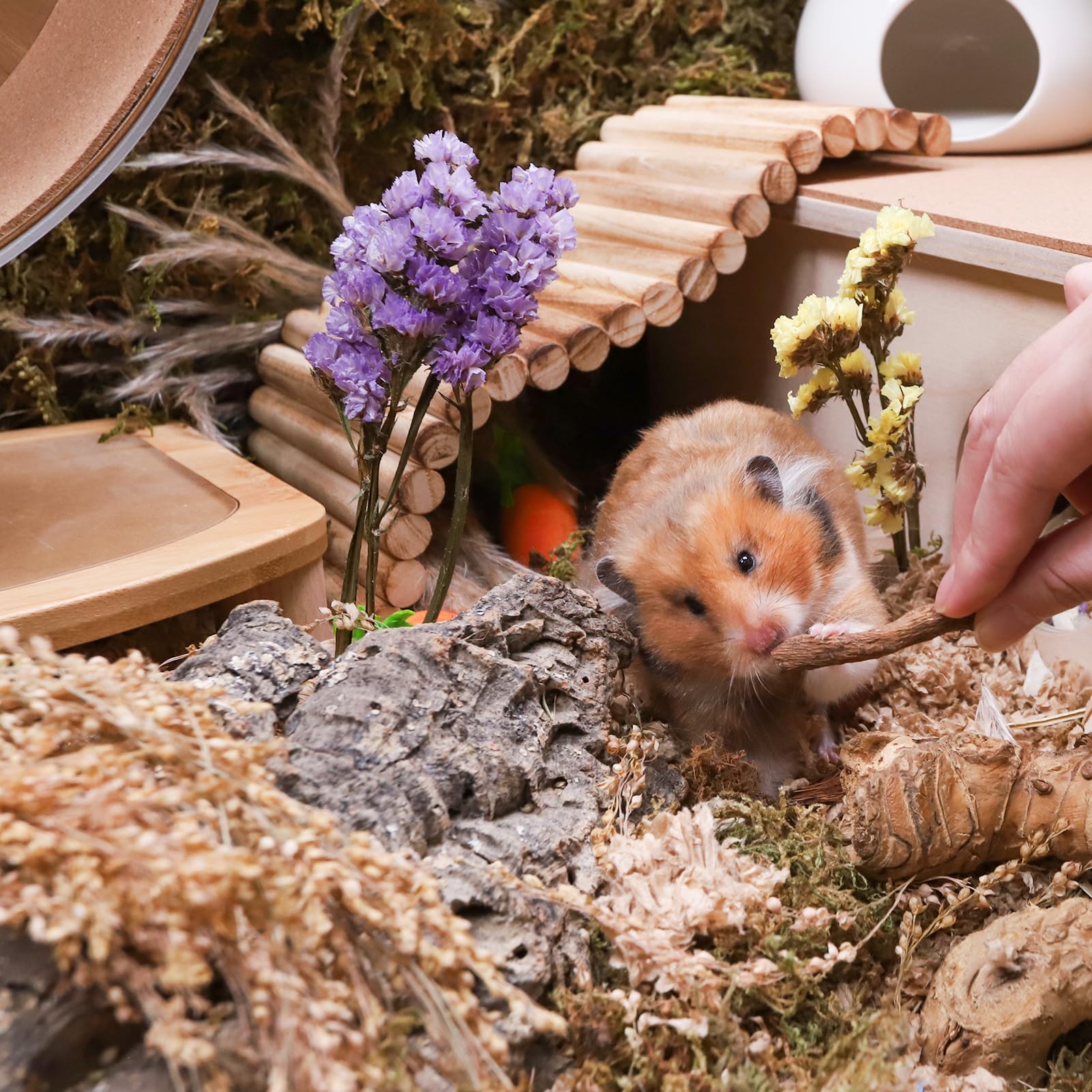 Niteangel Polyvalent-petits-animaux, friandise adaptée à divers compagnons.