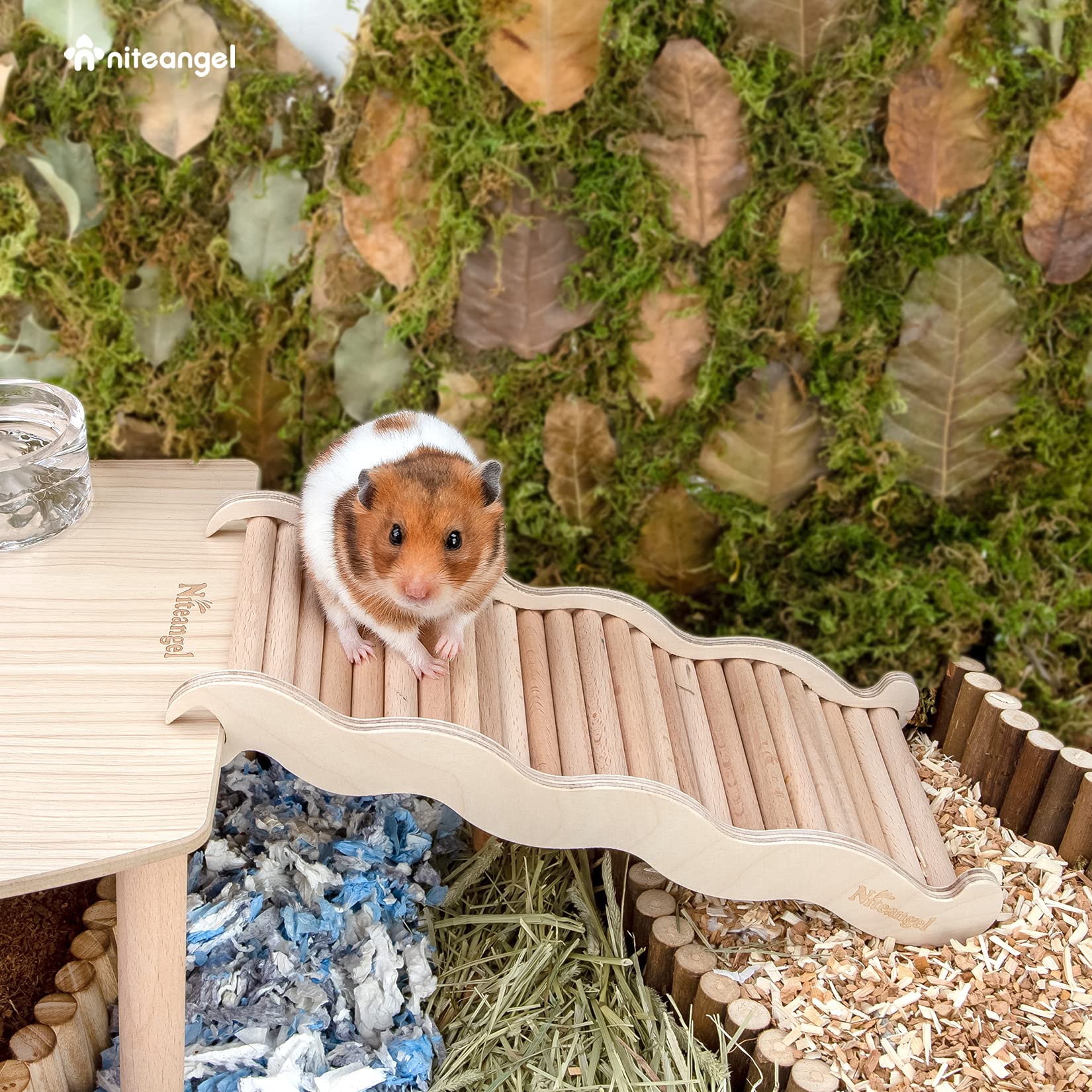 Niteangel pont d escalade en bois pour petits animaux, exercice ludique.