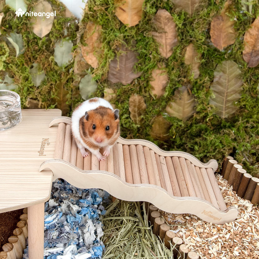 Niteangel pont d escalade en bois pour petits animaux, exercice ludique.
