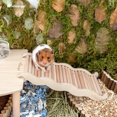 Niteangel pont d escalade en bois pour petits animaux, exercice ludique.