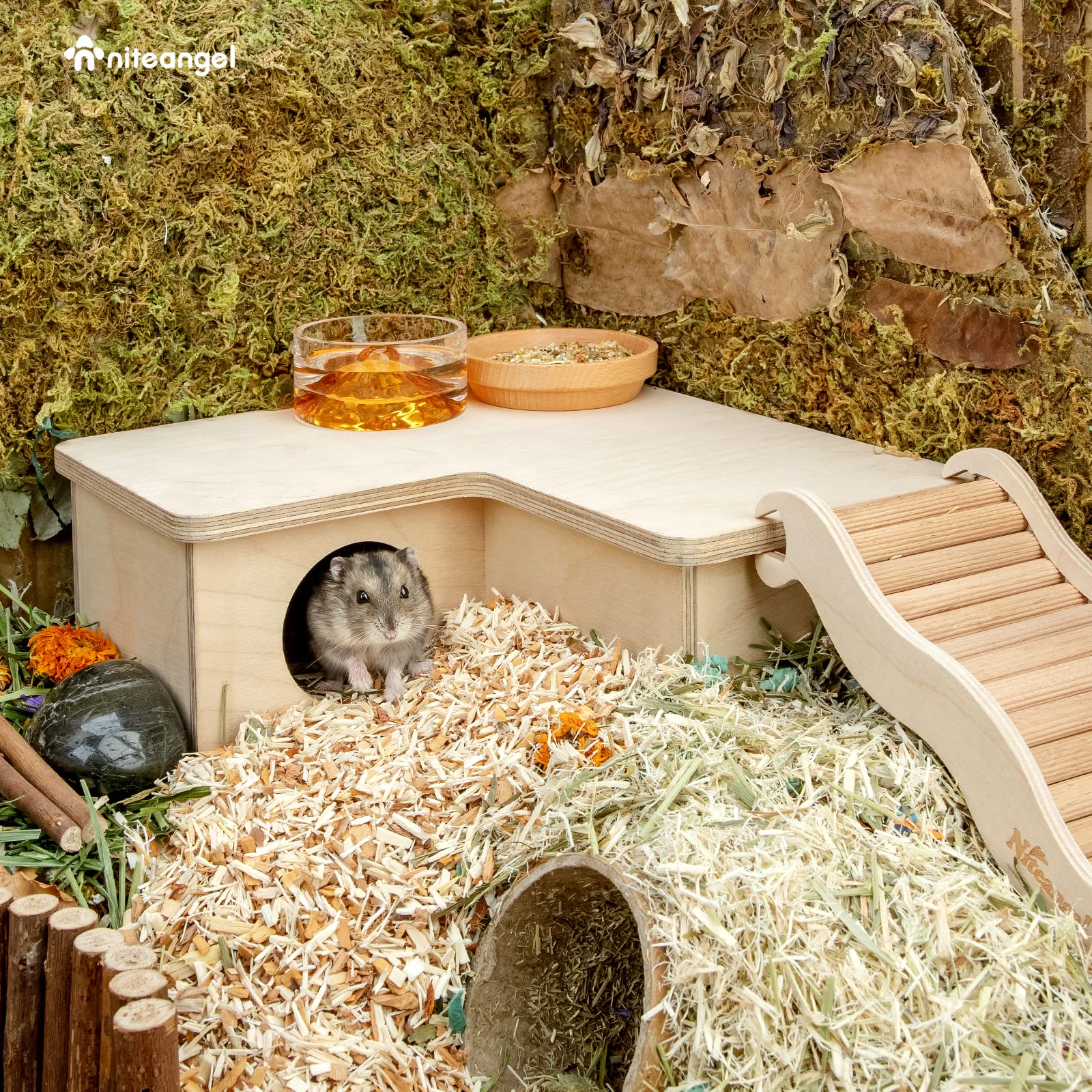Niteangel-porte-entree-hamster, accès simple pour nourrir et surveiller