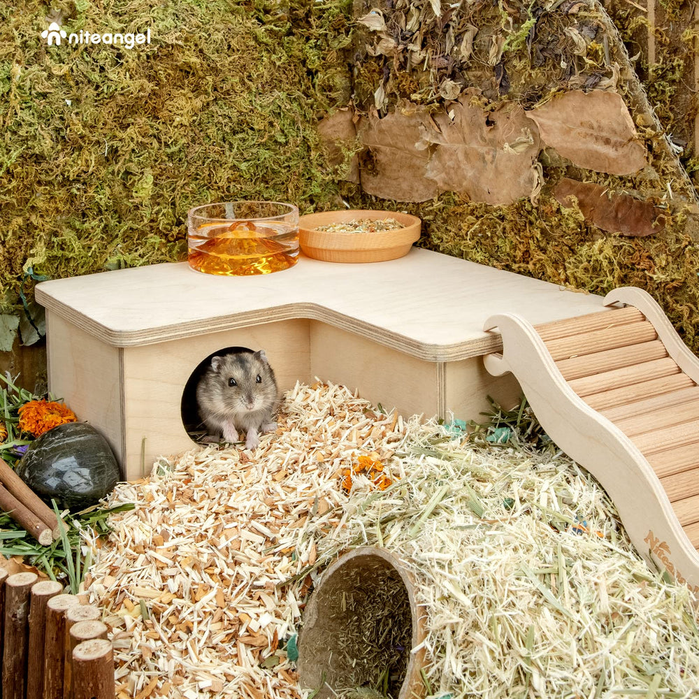 Niteangel-porte-entree-hamster, accès simple pour nourrir et surveiller