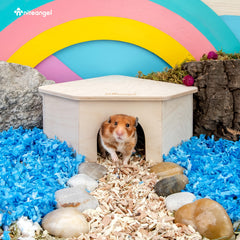 Niteangel rampe échelle bois hamster; accès facile aux plateformes.