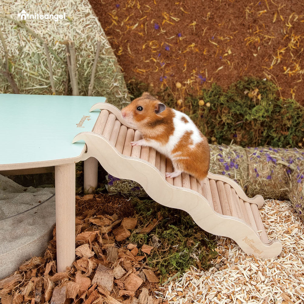 Niteangel rampe mordillable en bois, résiste à la mastication et invite au jeu.