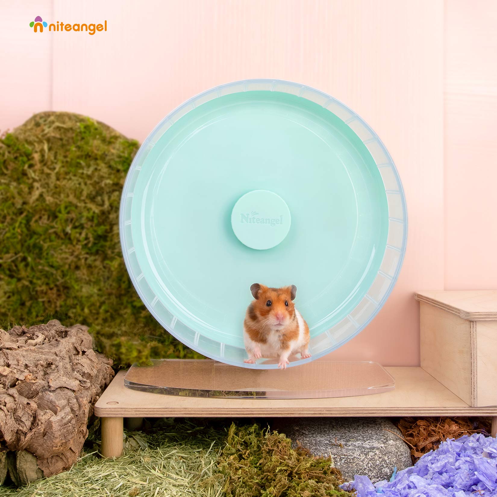 Roue d'exercice Niteangel tambour large de 11 pouces pour activité nocturne.