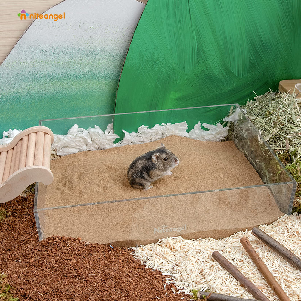 Niteangel sable désert: décor élégant pour terrarium, changement facile de l'ambiance.