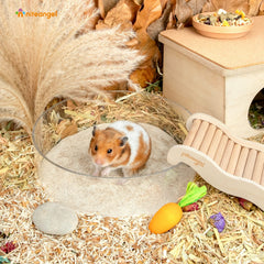 Niteangel sable hamster – jeu et creusage pour votre compagnon