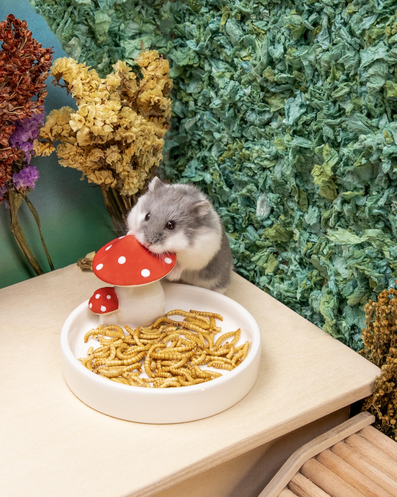 Niteangel sans additifs, récompense naturelle pour petits animaux.