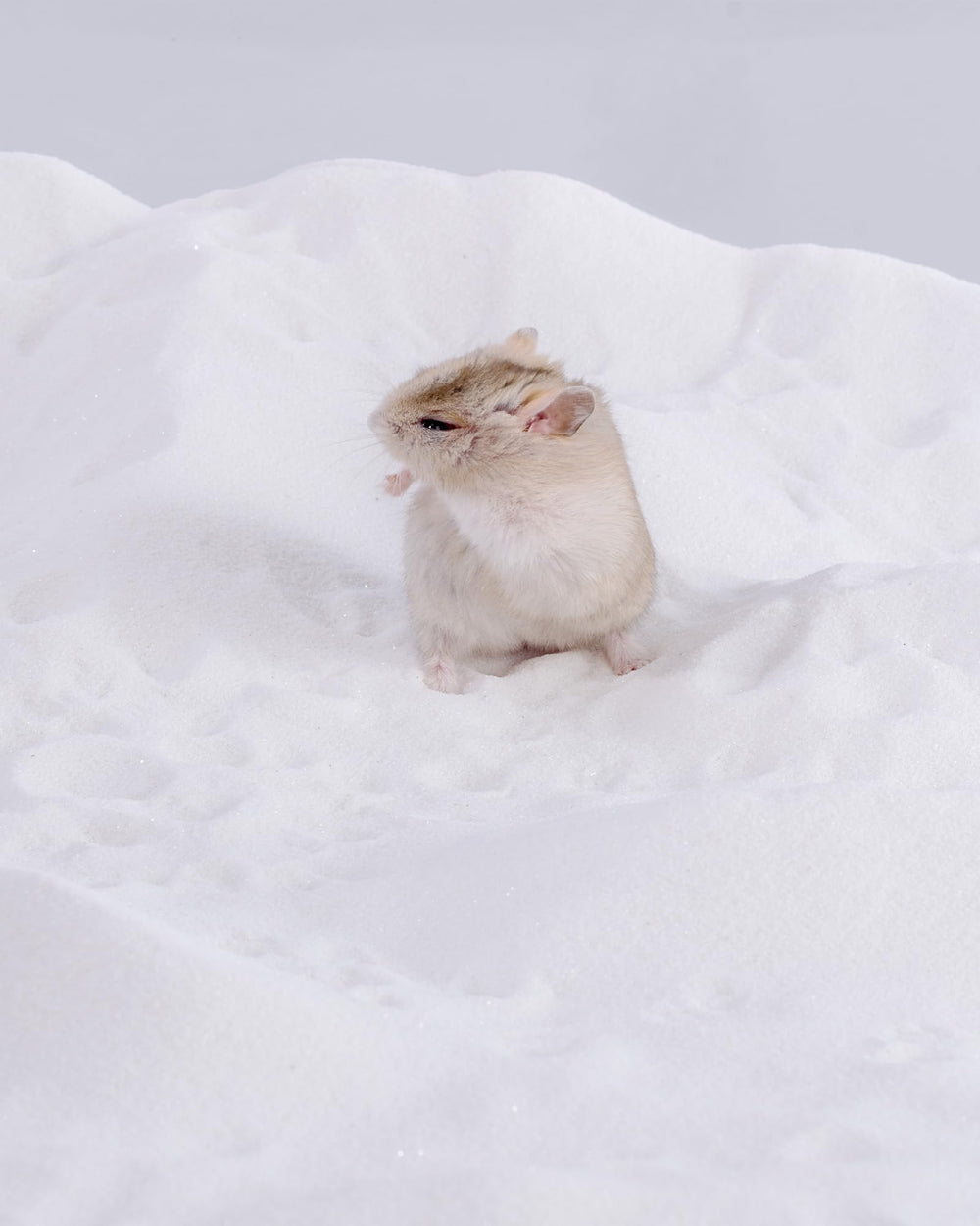 Niteangel sable sans poussière pour bain, réduction des résidus.
