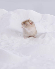 Niteangel sable sans poussière pour bain, réduction des résidus.