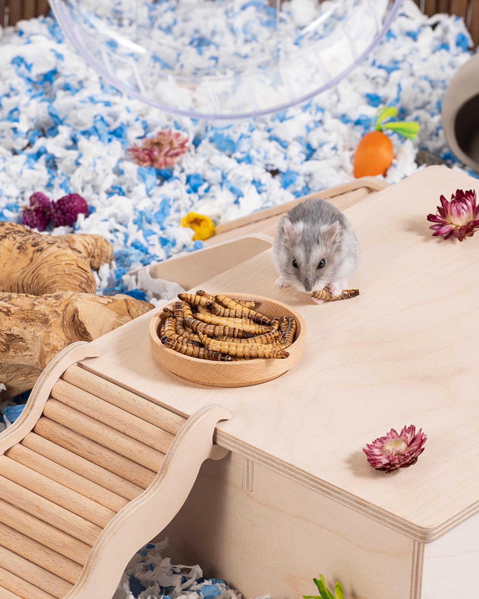 Niteangel snack équilibré – soutien à l’activité quotidienne des petits animaux.