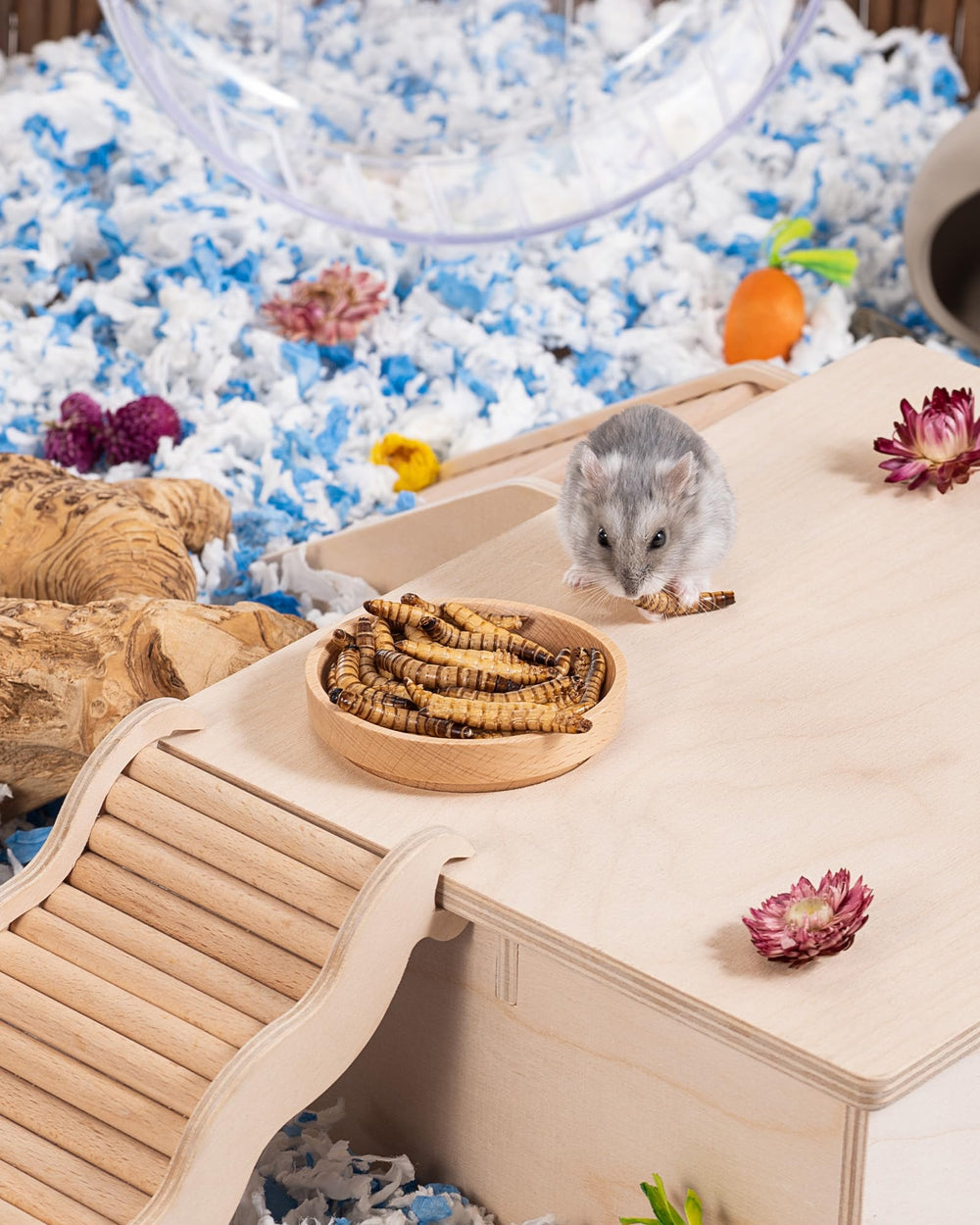 Niteangel snack équilibré – soutien à l’activité quotidienne des petits animaux.