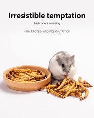 Niteangel snack gourmet pour petits rongeurs, récompense savoureuse.