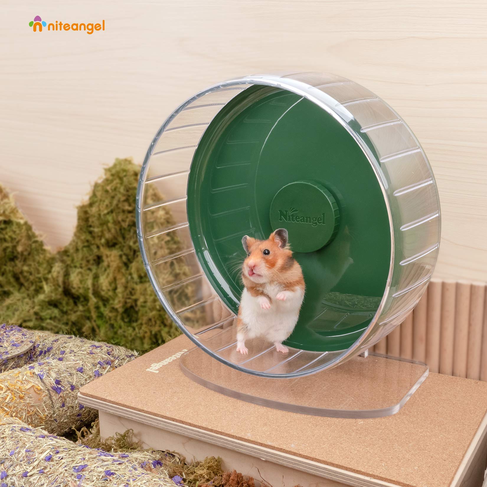 Support réglable Niteangel pour roue, ajuste facilement aux cages diverses.