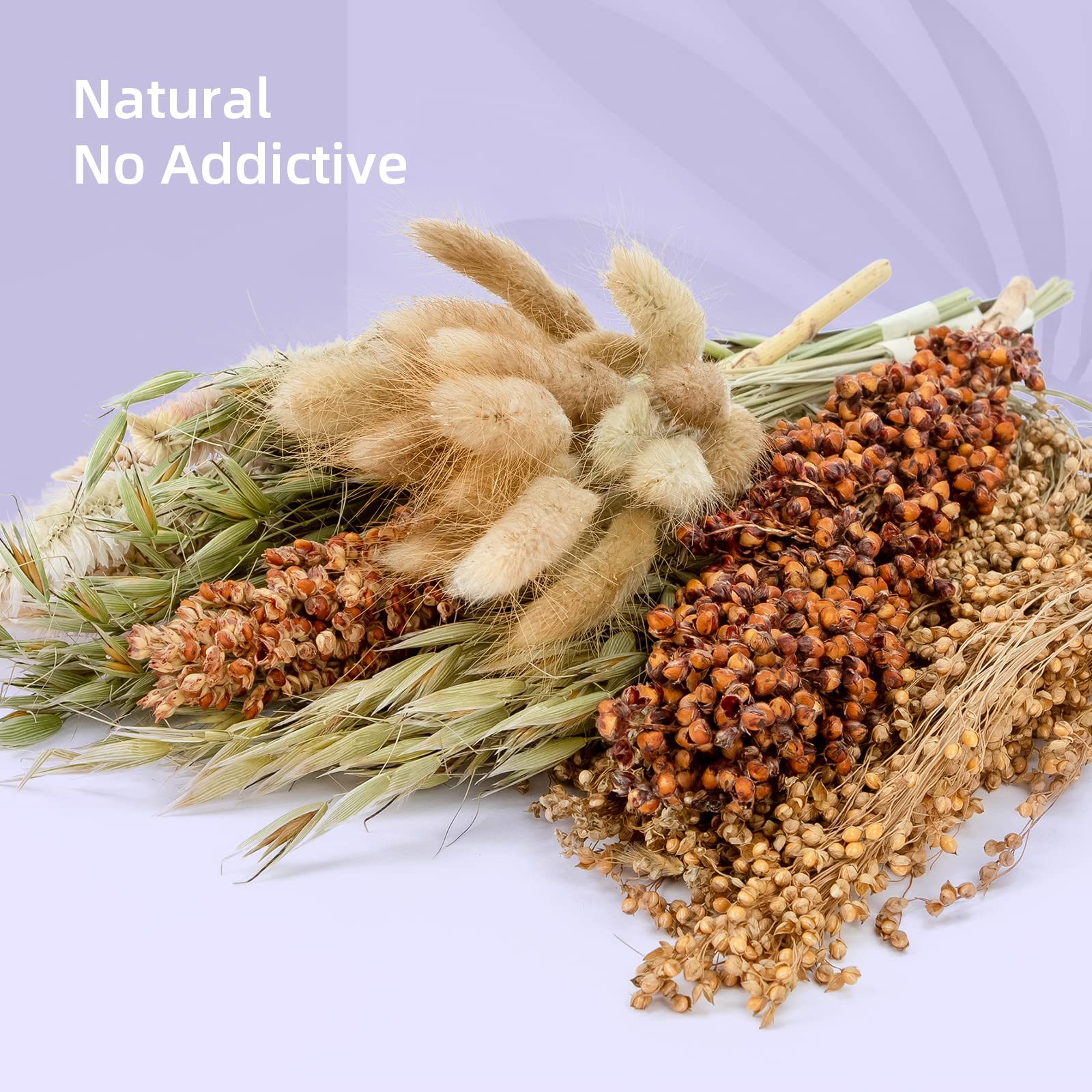 Niteangel textures naturelles enrichissent l'exploration.
