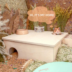 Niteangel Toit amovible facilite l’accès et le nettoyage du nid hamsters.
