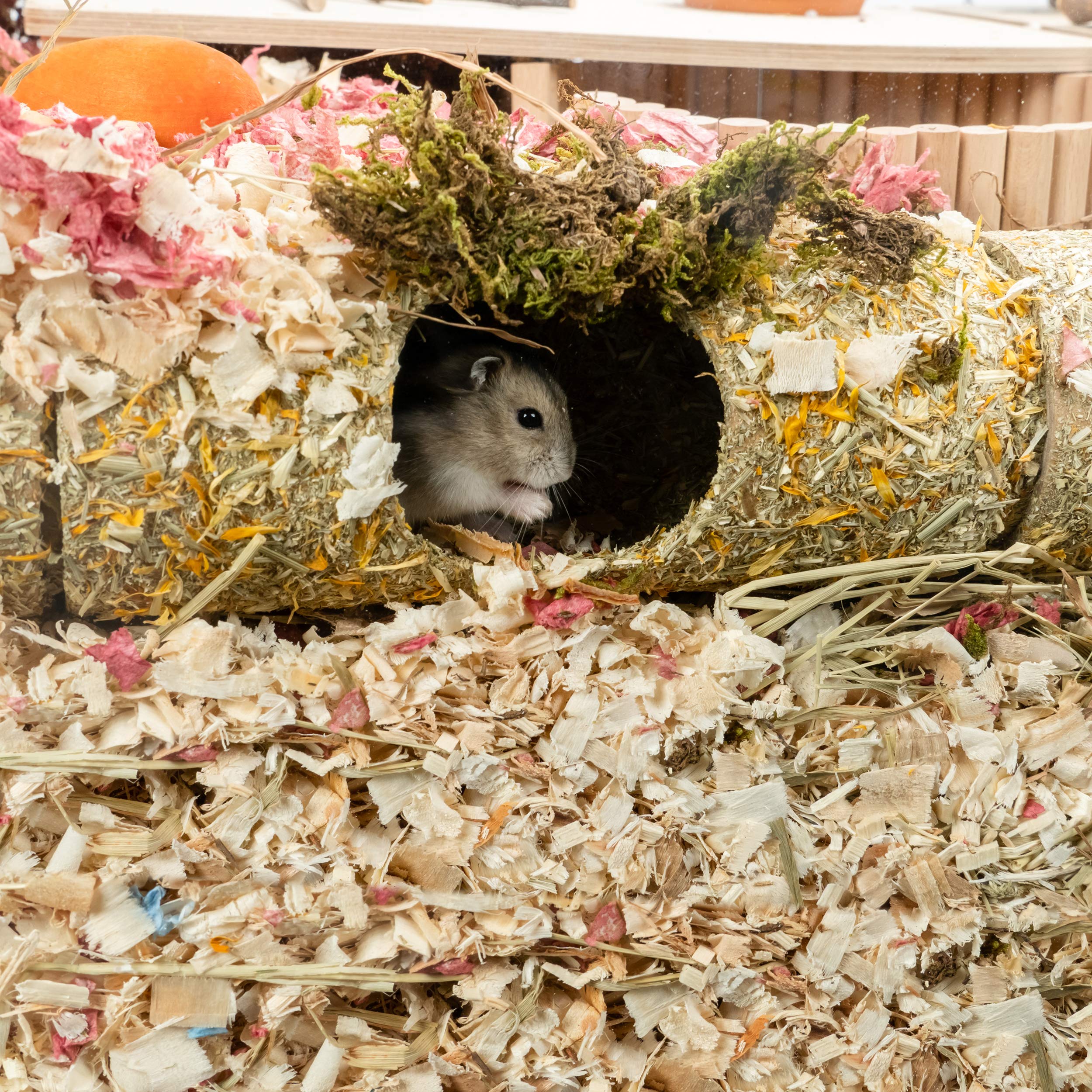 Tube cellulose naturelle Niteangel pour hamster, sûr à mâcher et propice à l'exploration.