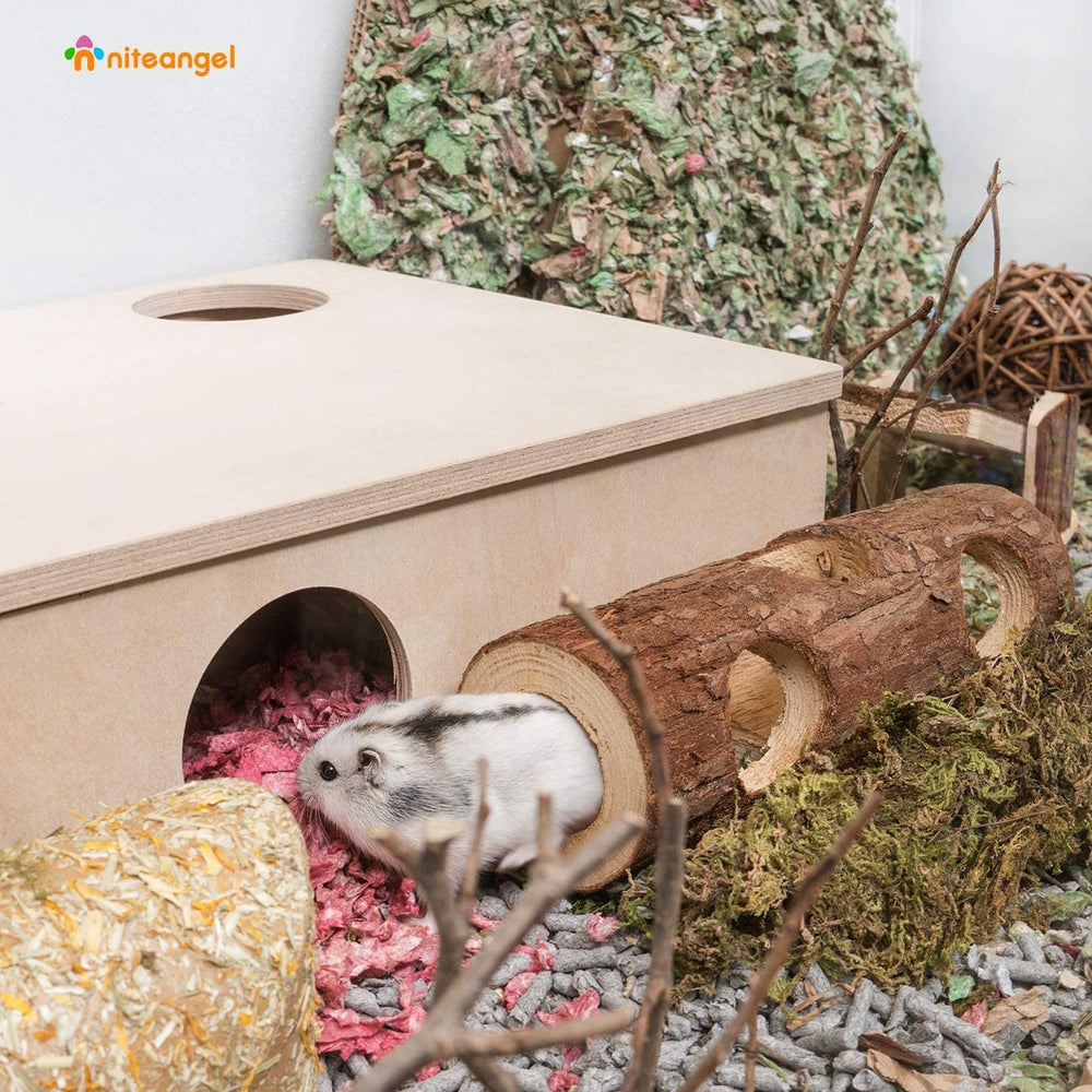 Niteangel tunnel bois – stimulation mentale et jeu interactif pour hamster