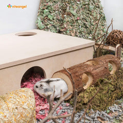 Niteangel tunnel bois – stimulation mentale et jeu interactif pour hamster