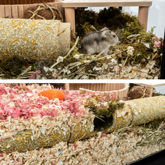 Niteangel Tunnel Hamster orifices multiples pour configurations variées.