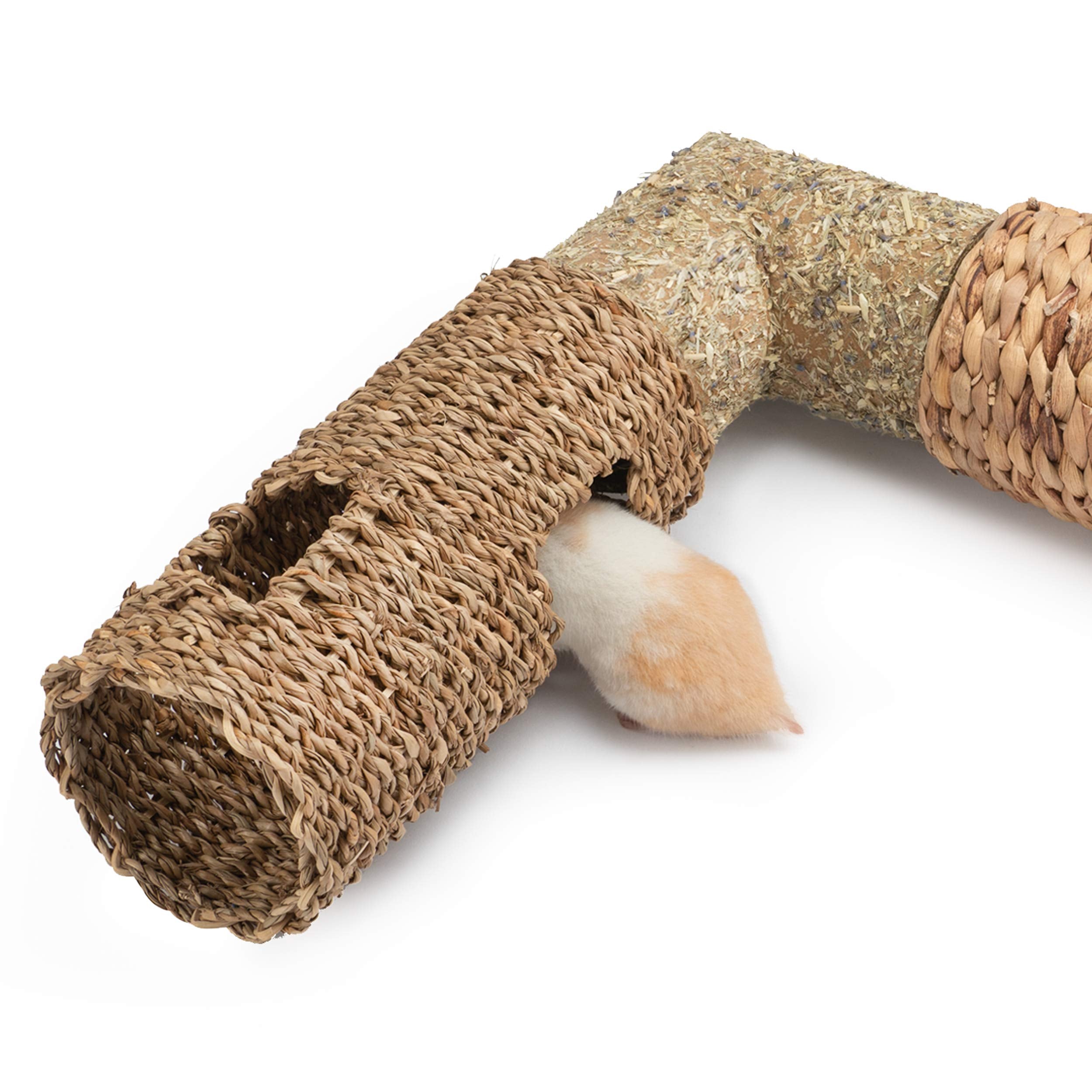 Exercice et activité Niteangel tunnel seagrass encourage mouvement et fouille