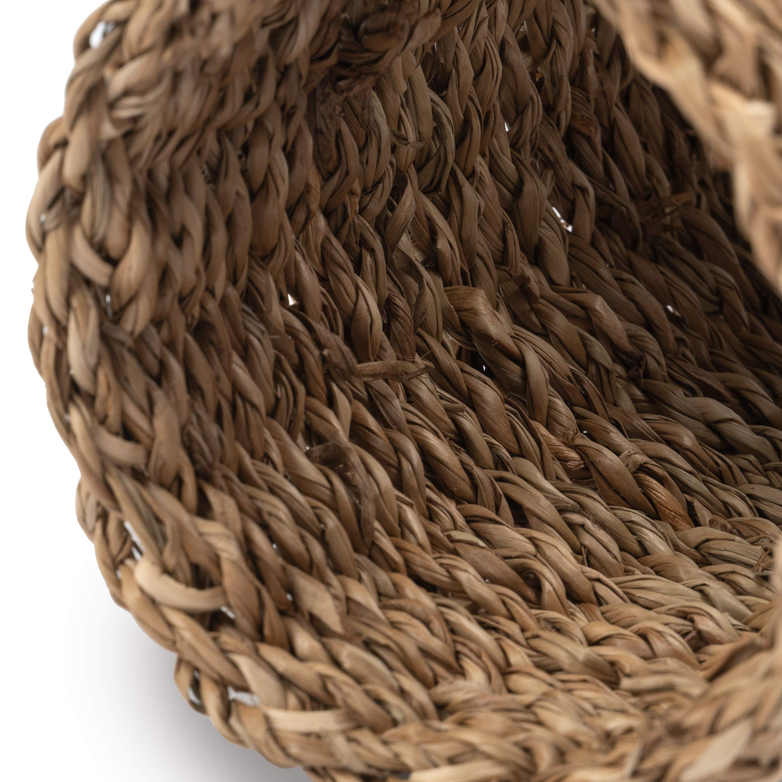 Habitat miniature Niteangel tunnel seagrass offre espace cosy et sûr