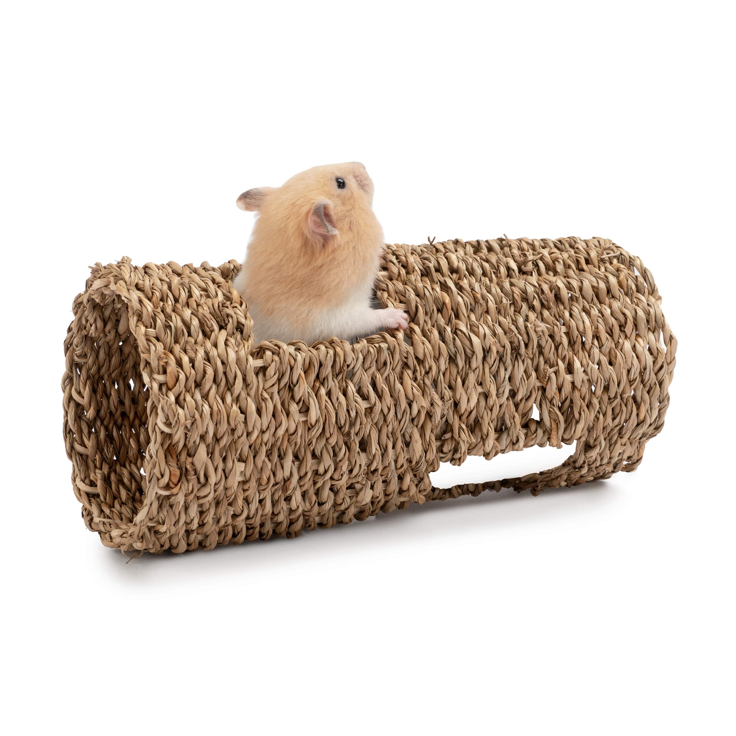 Niteangel tunnel hamsters seagrass quatre entrées favorisant l exploration sécurisée