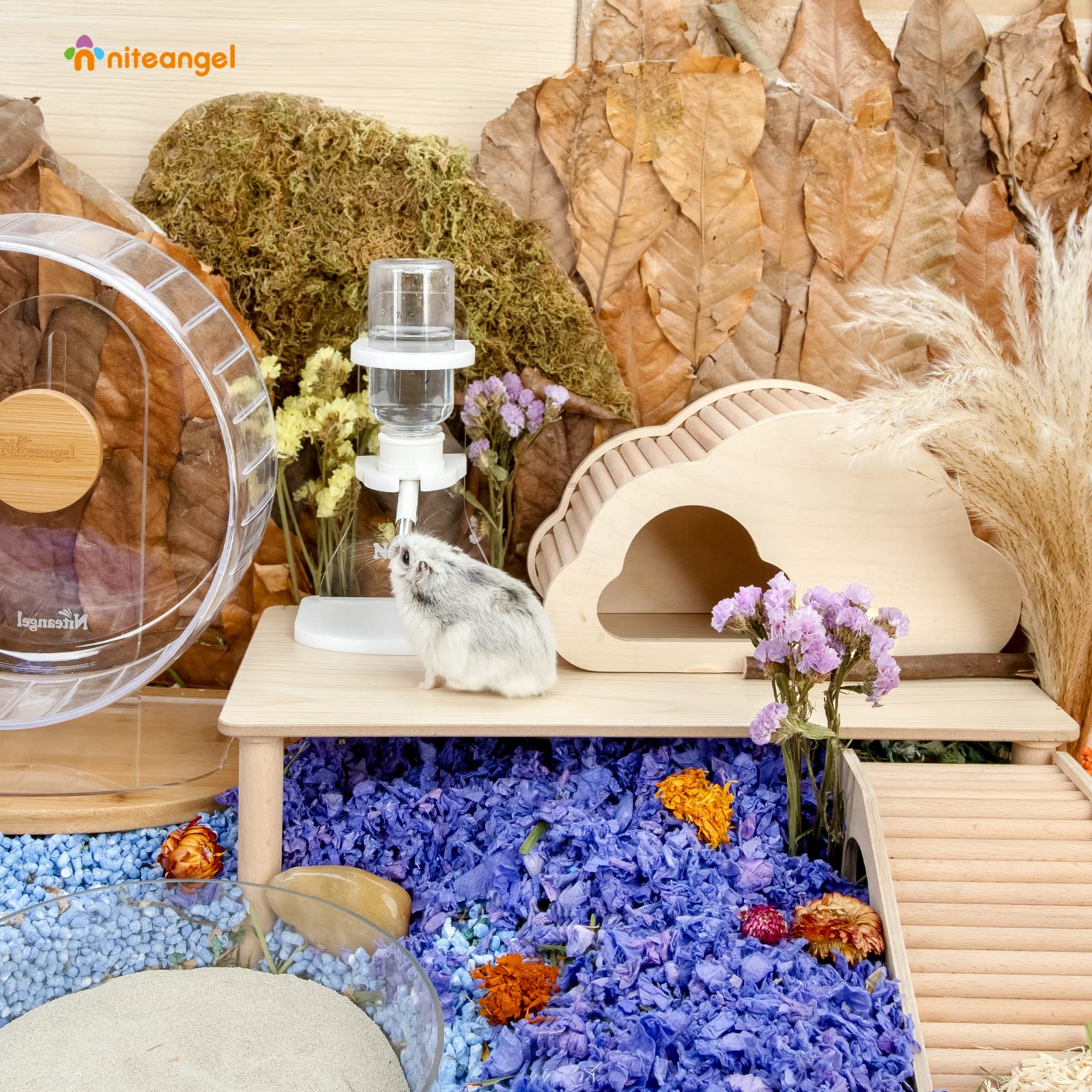 Utilisation quotidienne Niteangel, hydratation pratique pour hamsters et gerbilles.