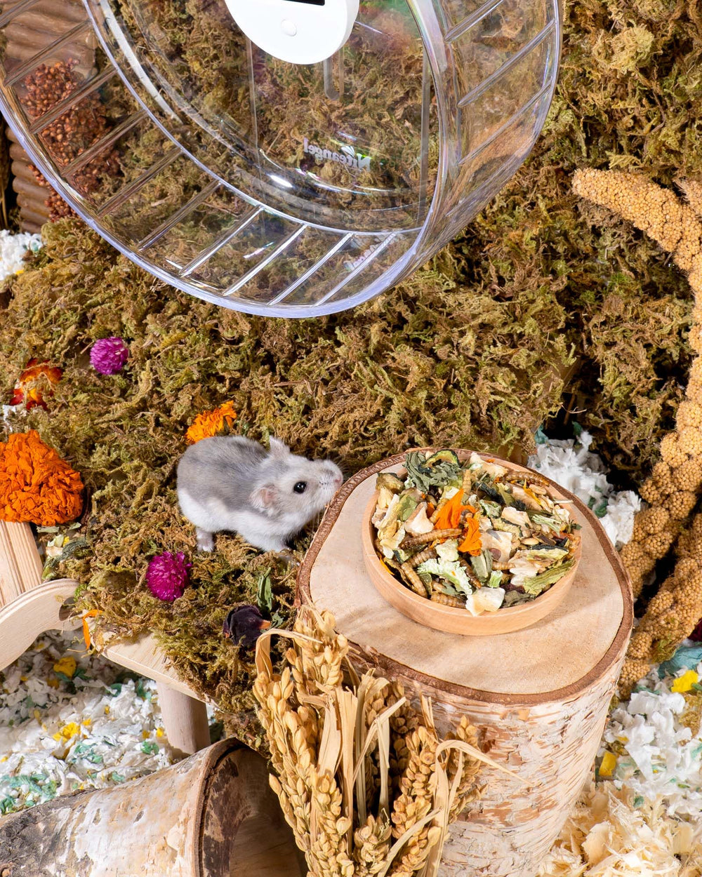Niteangel utilisation quotidienne: parfait pour l'alimentation des petits rongeurs.
