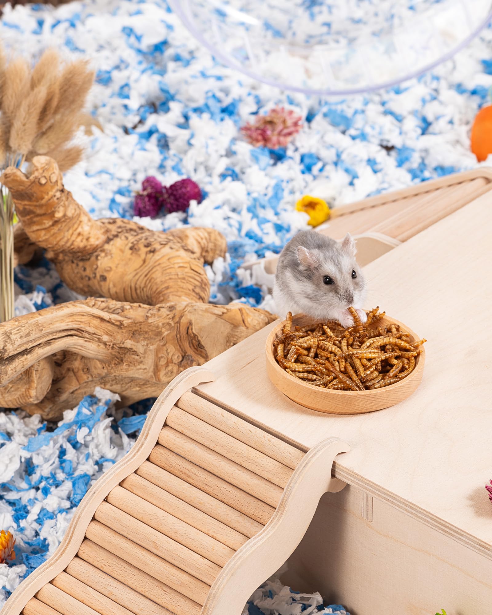 Niteangel utilisation-quotidienne-friandise-petits-animaux intégrée facilement dans la routine