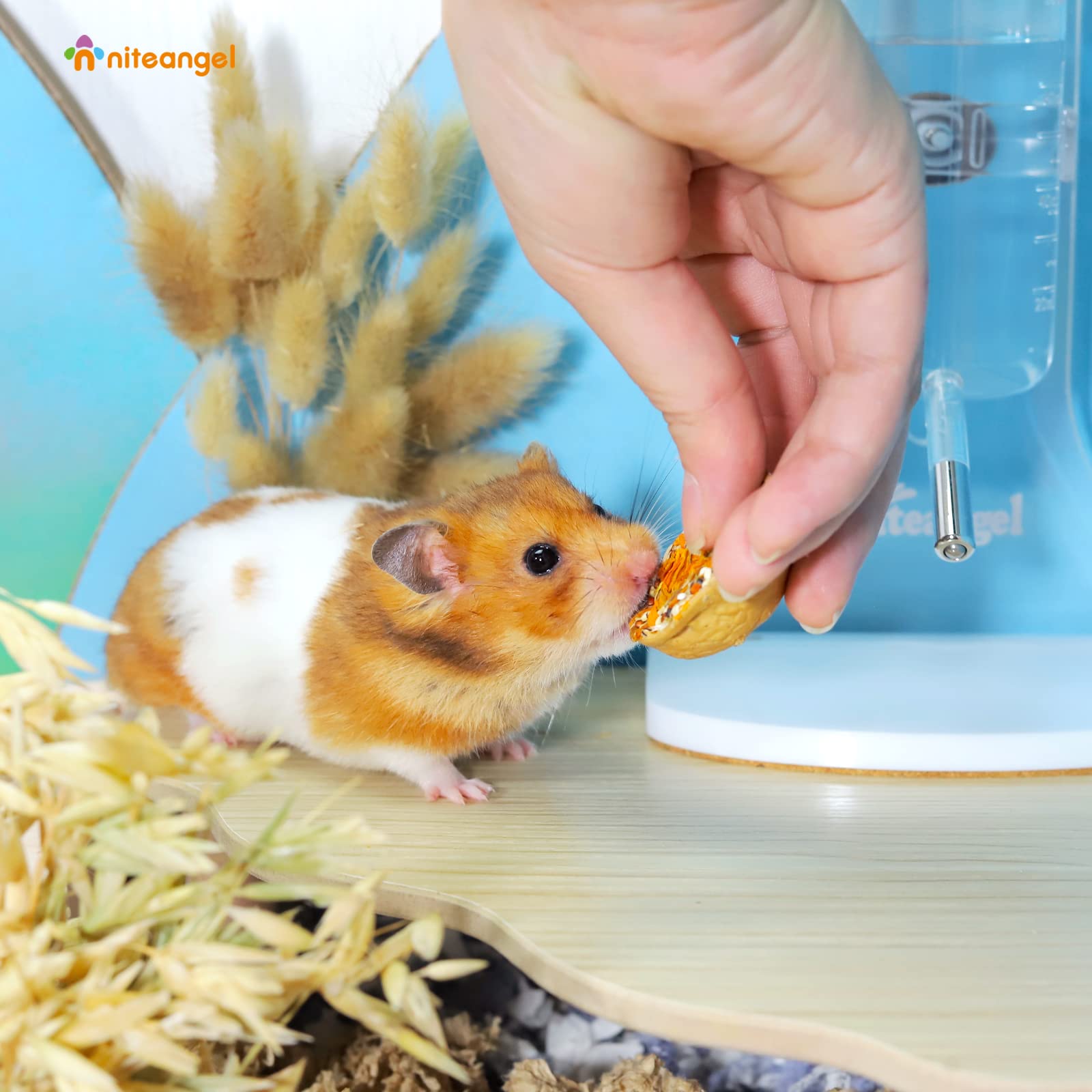 Niteangel variete-animaux-petits convient hamsters et gerbilles