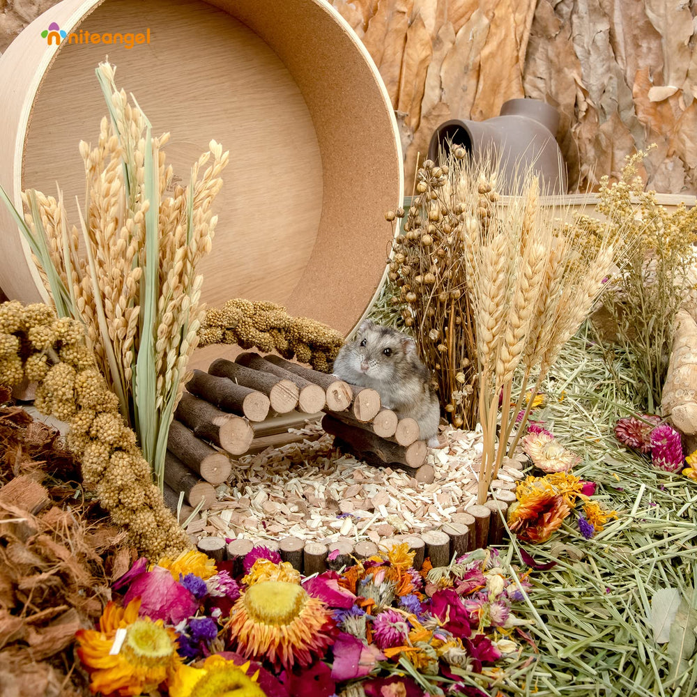 Niteangel Vent de Recolte - decoration naturelle, cree un decor inspire de la nature