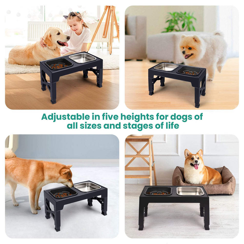 Niubya chien utilisant hauteur maximale pour une posture ergonomique.