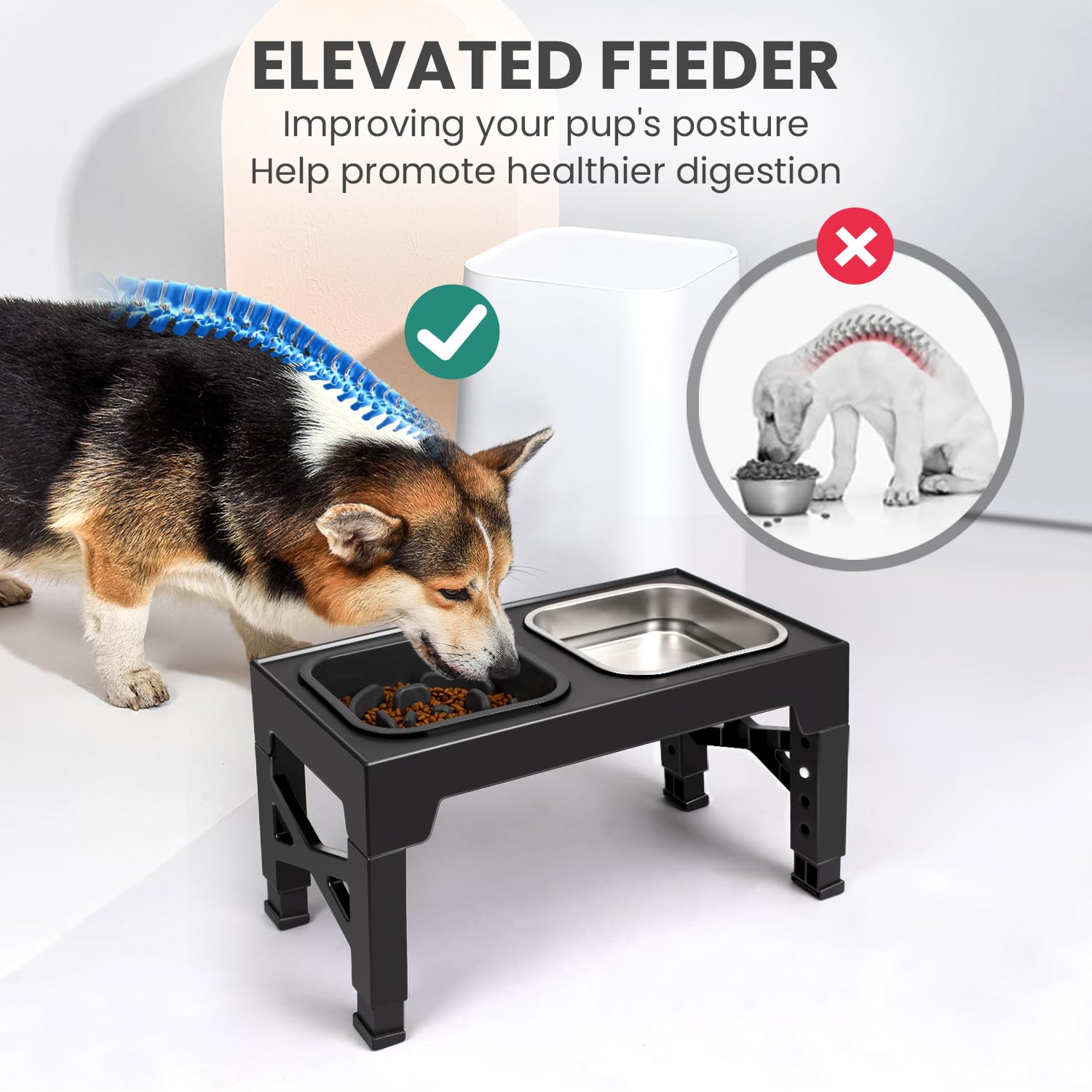 Niubya hauteurs ajustables pour s'adapter à chaque chien.