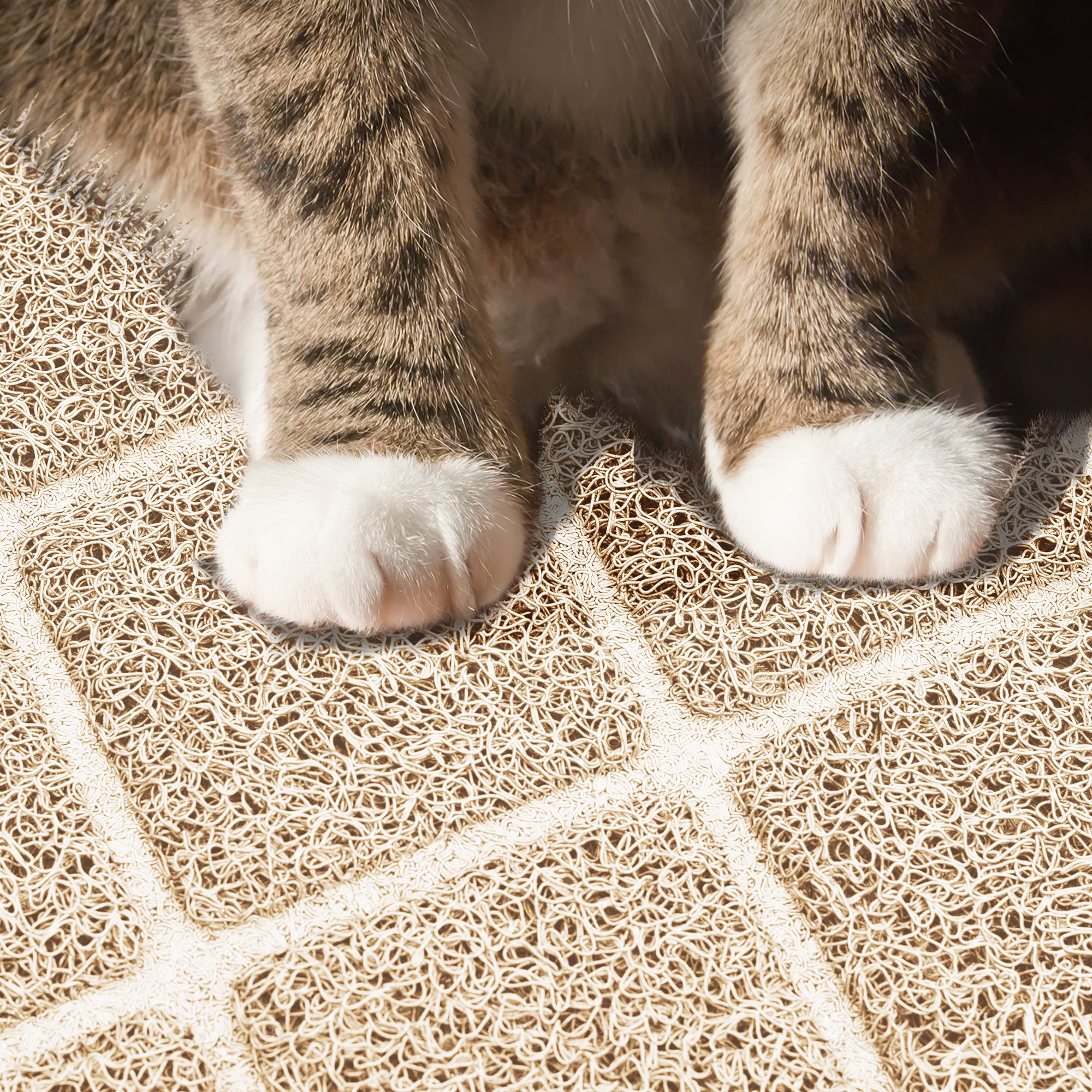 Dessous imperméable du tapis Niubya empêche les liquides.