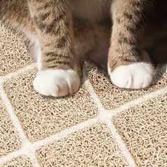 Dessous imperméable du tapis Niubya empêche les liquides.