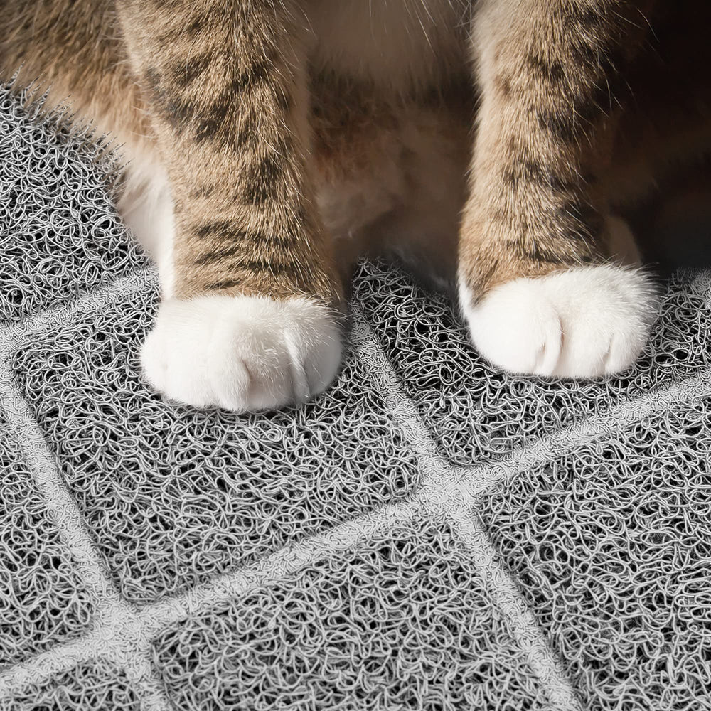 Niubya tapis litiere doux pattes, experience confortable pour le chat.