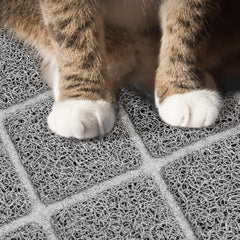 Niubya tapis litiere doux pattes, experience confortable pour le chat.