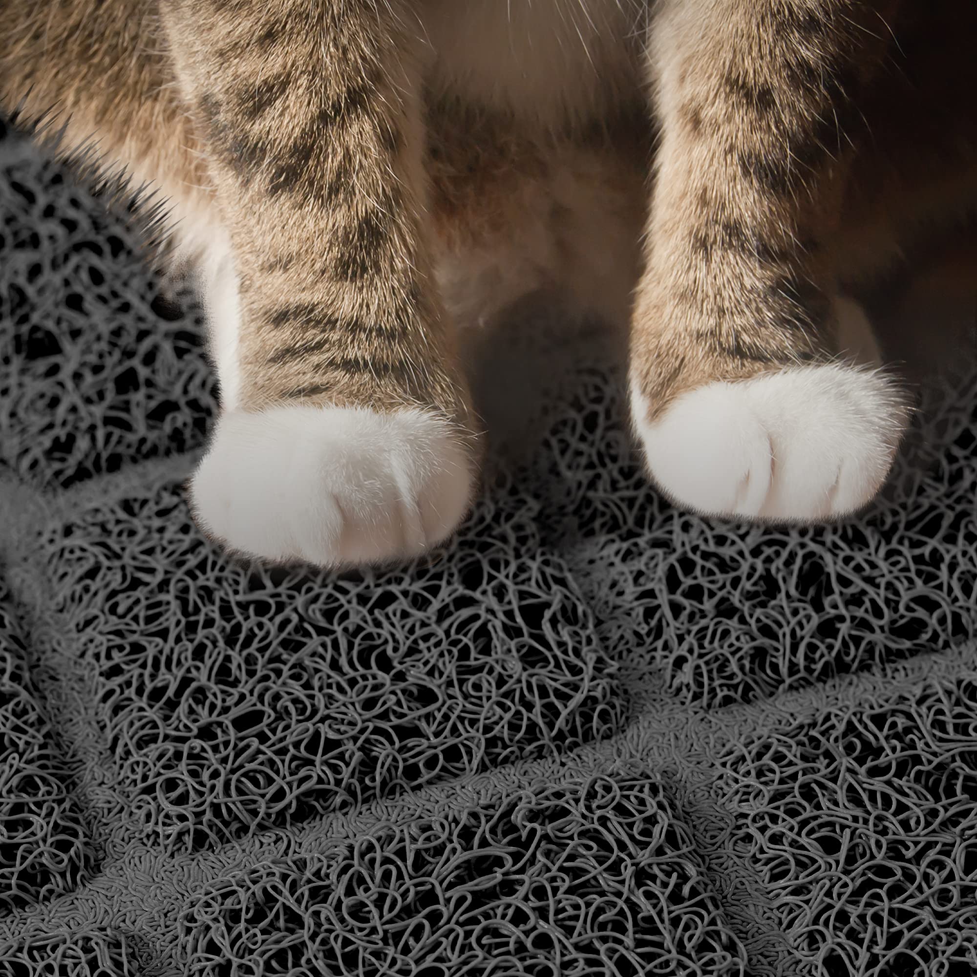 Niubya tapis-litière, douceur pour les pattes, chat plus confiant.