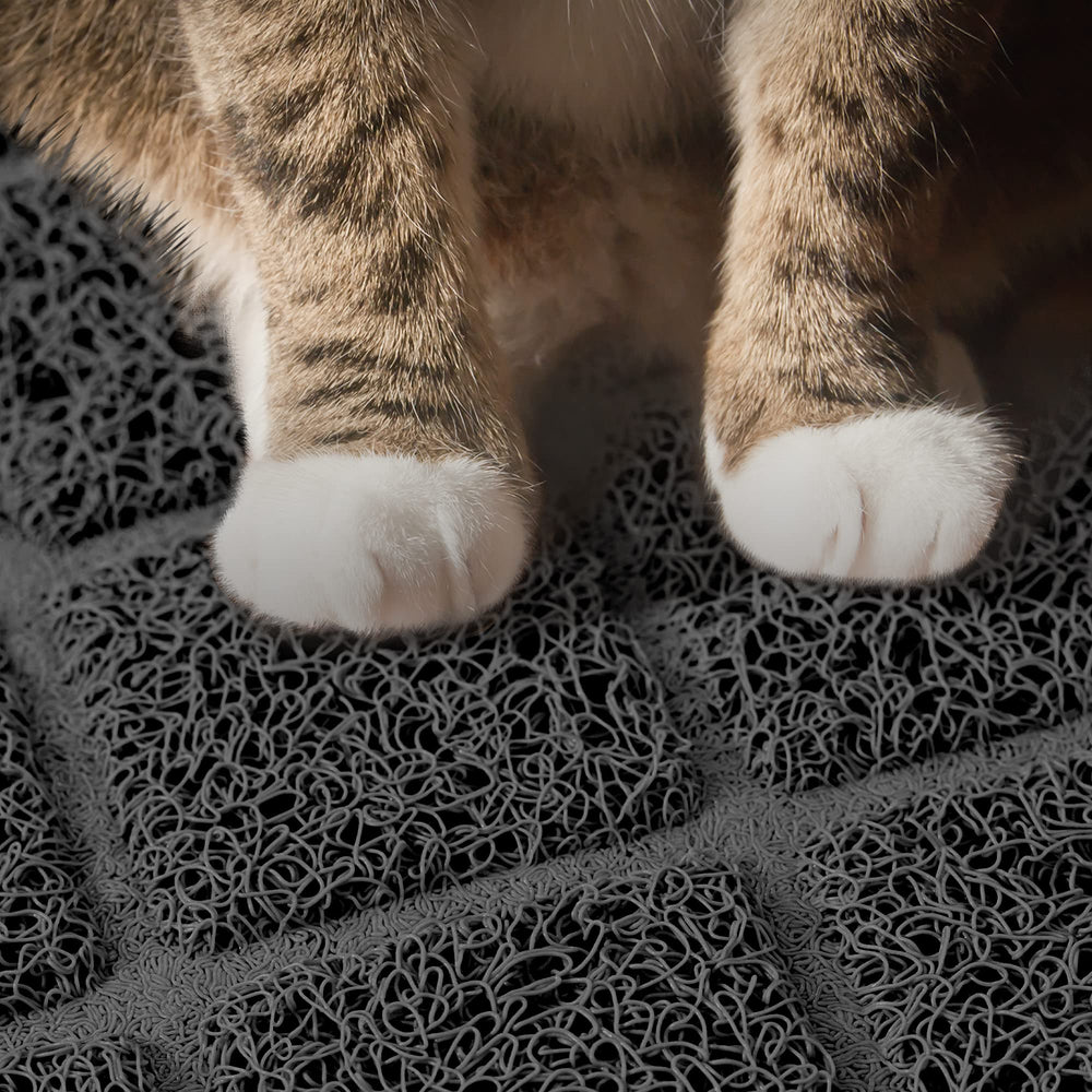Niubya tapis-litière, douceur pour les pattes, chat plus confiant.