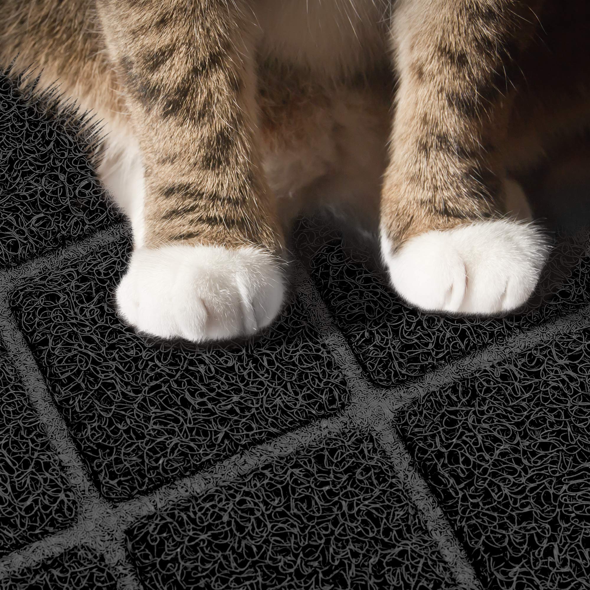 Niubya Tapis Litière Extralarge – maillage, piège petits grains et poussières pour un intérieur plus net.