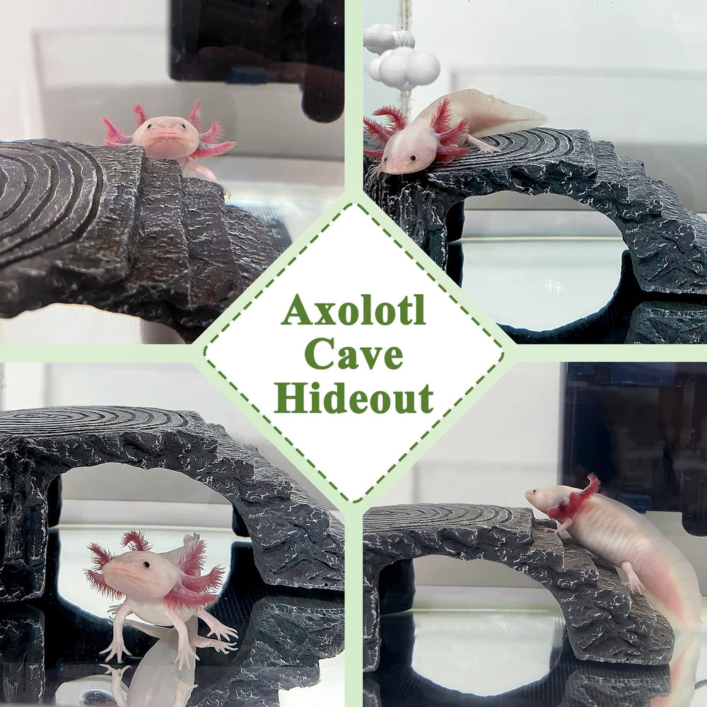 NIUOHOY deco-aquarium-axolotl — décor résine résistant et facile d'entretien
