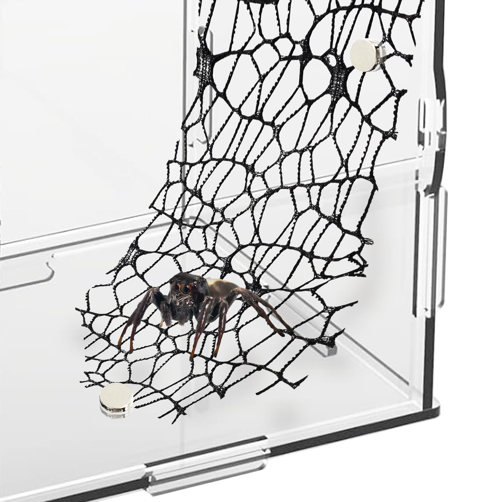 Dimensions net grimpant Niuohoy 9,8 x 4 pouces, facilement ajustable